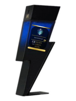 Bad Boy Cobalt Elixir (M)