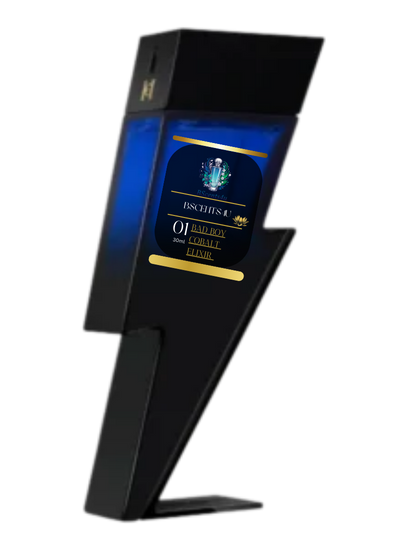 Bad Boy Cobalt Elixir (M)